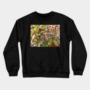 New Autumn Leaves Crewneck Sweatshirt